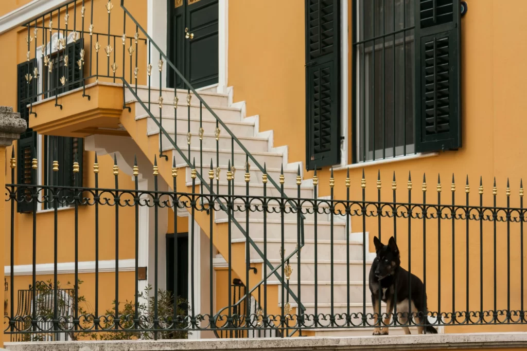 dog protecting a home